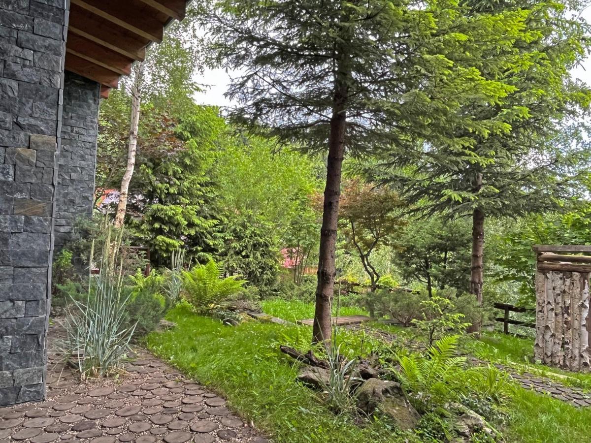 Bazalt Wellness Villa Harghita-Băi Eksteriør bilde