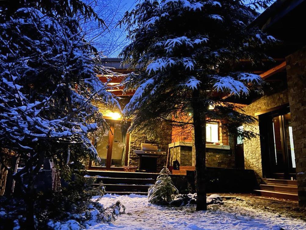Bazalt Wellness Villa Harghita-Băi Eksteriør bilde